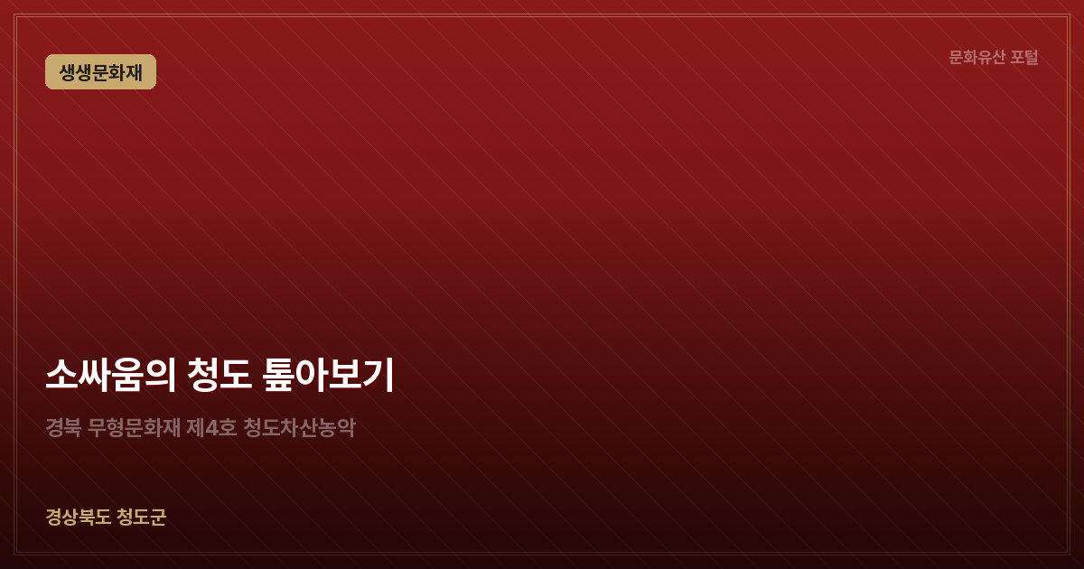 소싸움의 청도 톺아보기