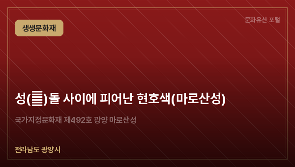 성(城)돌 사이에 피어난 현호색(마로산성)