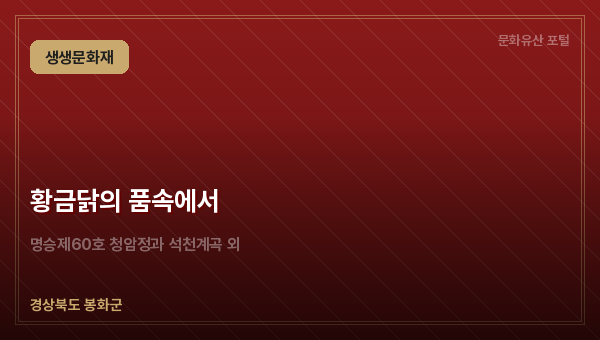 황금닭의 품속에서